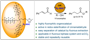 Imidazolium Based Fluorous N-Heterocyclic Carbenes as Effective and Recyclable Organocatalysts for Redox Esterification